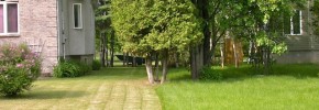 DSCN3567