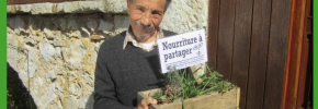Pierre Rhabi potager, Colibris